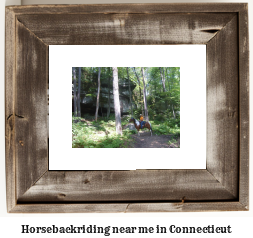 horseback riding Connecticut